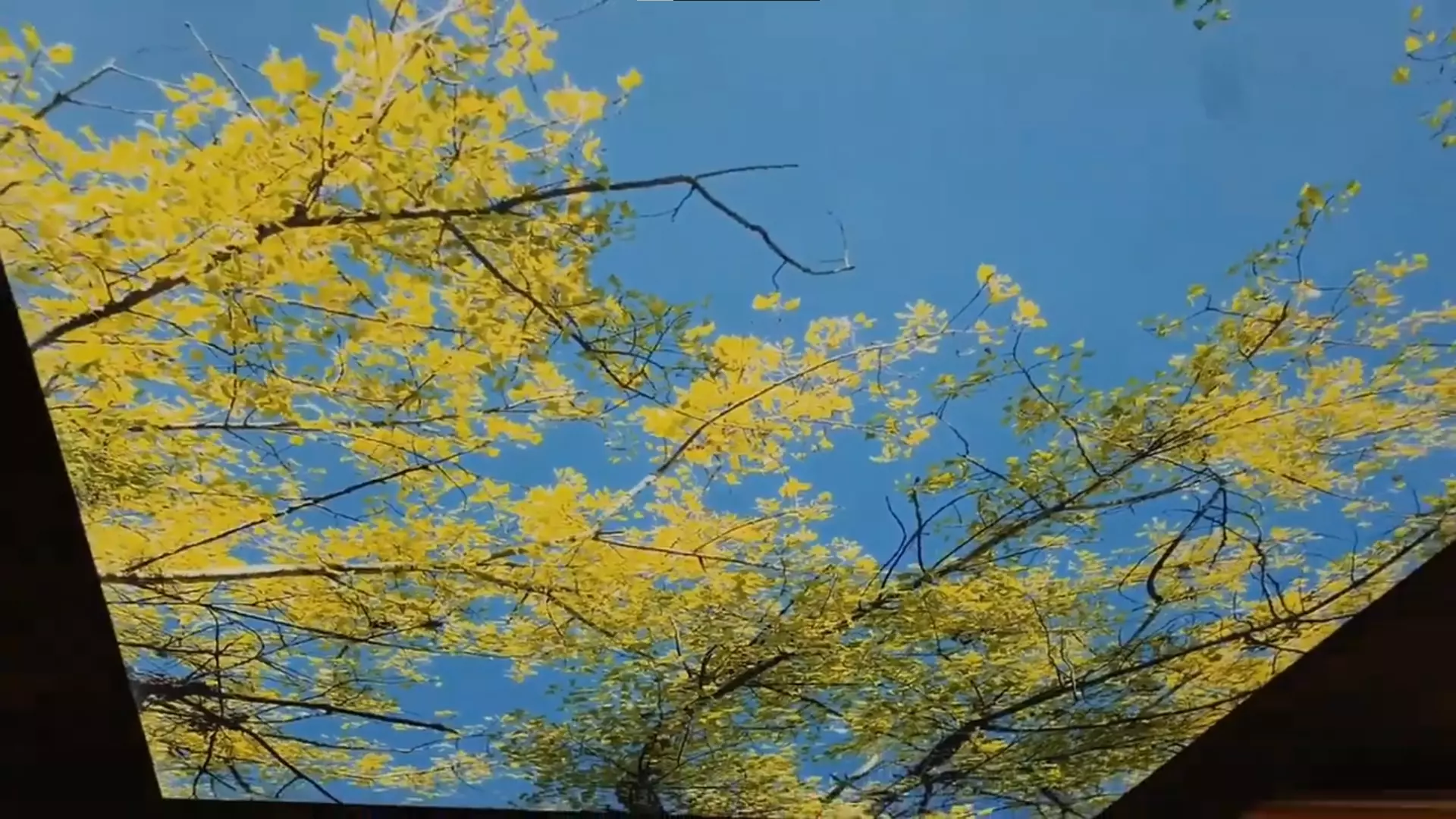 Новошахтинск, , фото 2