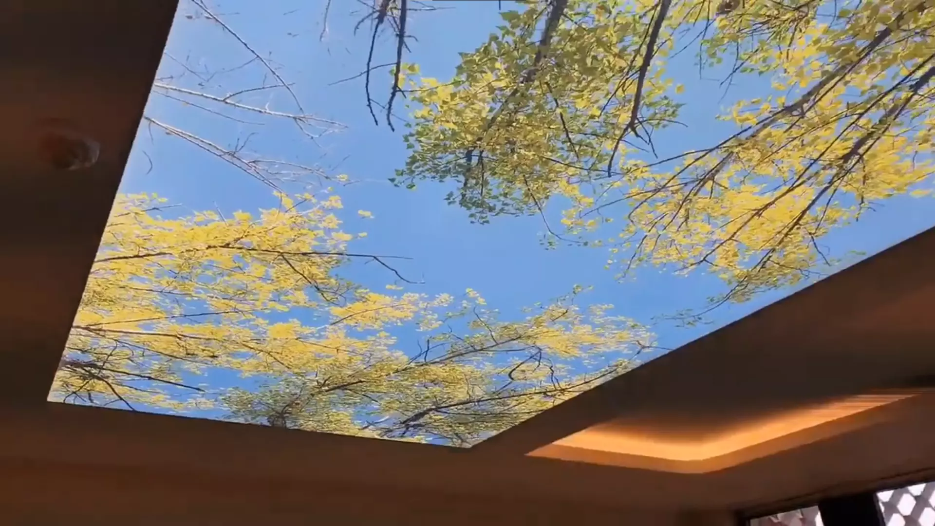 Новошахтинск, , фото 3